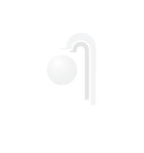SAN-JAVIER-BLANCO