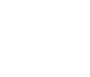 logo_AHPJ_blanco